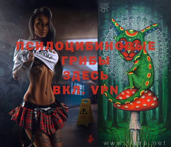 молекула духа Ельня