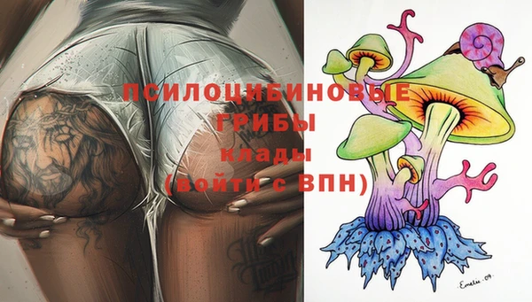 прущие крисы Дмитриев