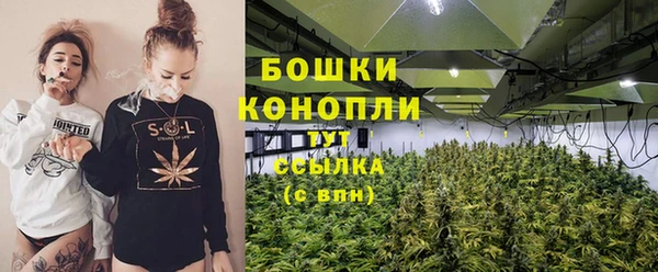 прущие крисы Дмитриев