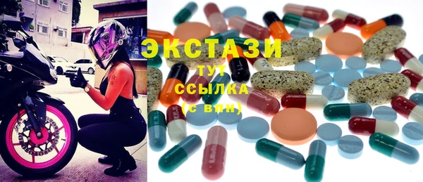 молекула духа Ельня