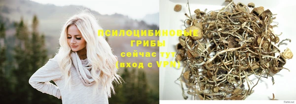 PSILOCYBIN Елабуга