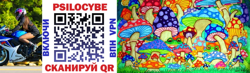цены наркотик  Псков  KRAKEN как зайти  Галлюциногенные грибы Psilocybine cubensis 